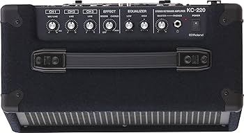 Amazon.com: Roland KC-220 Battery-Powered Stereo Keyboard